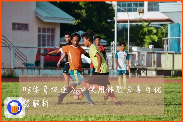 ng体育极速入口使用体验分享与优势解析