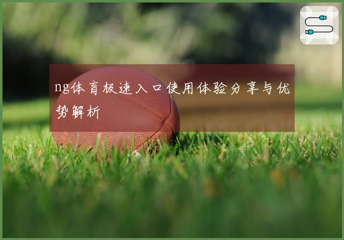 ng体育极速入口使用体验分享与优势解析