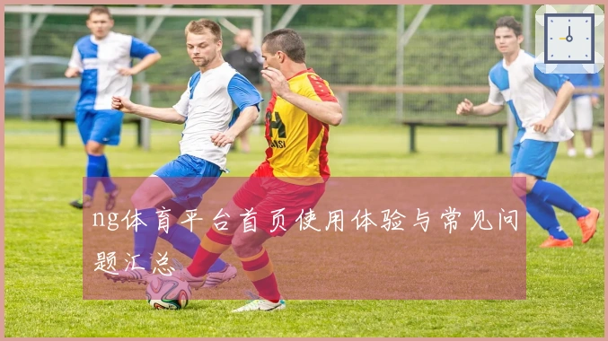 ng体育平台首页使用体验与常见问题汇总