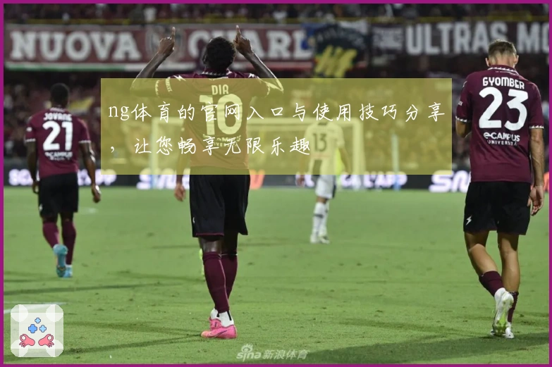 ng体育的官网入口与使用技巧分享，让您畅享无限乐趣