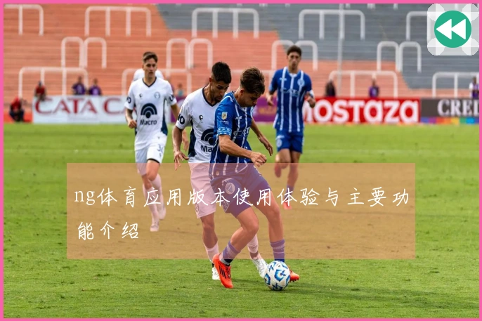 ng体育应用版本使用体验与主要功能介绍