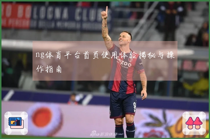 ng体育平台首页使用体验揭秘与操作指南